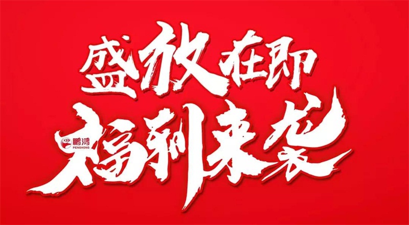再拓疆域！鵬鴻We+定制&紅星美凱龍聯(lián)袂亮相烏魯木齊