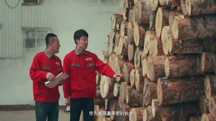 從一張板材到千萬家 兌現(xiàn)生活的美好