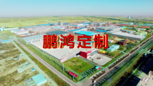 鵬鴻產(chǎn)品紀錄片之定制篇